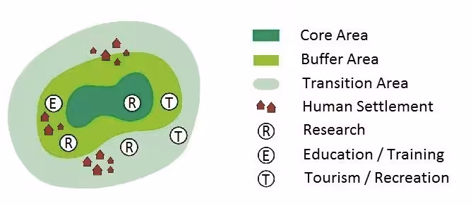 Screenshot 2025 11 11 at 1.10.30 PM