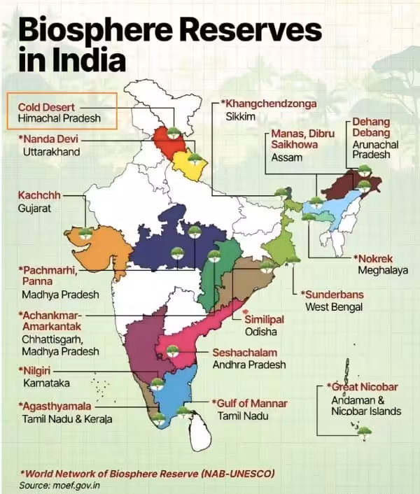 Screenshot 2025 11 11 at 1.44.34 PM