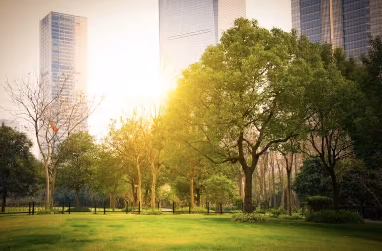 Screenshot 2025 12 02 at 2.20.32 PM