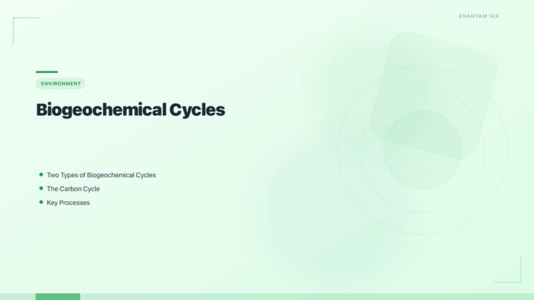 Biogeochemical Cycles: Carbon, Nitrogen & Phosphorus Cycles Explained for UPSC featured image