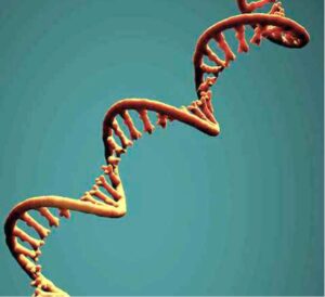 extracellular RNA