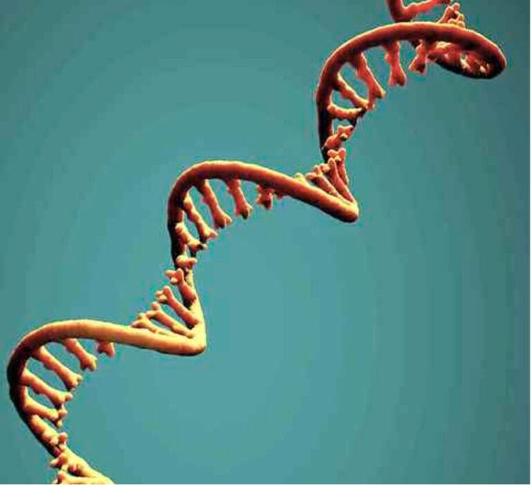 extracellular RNA