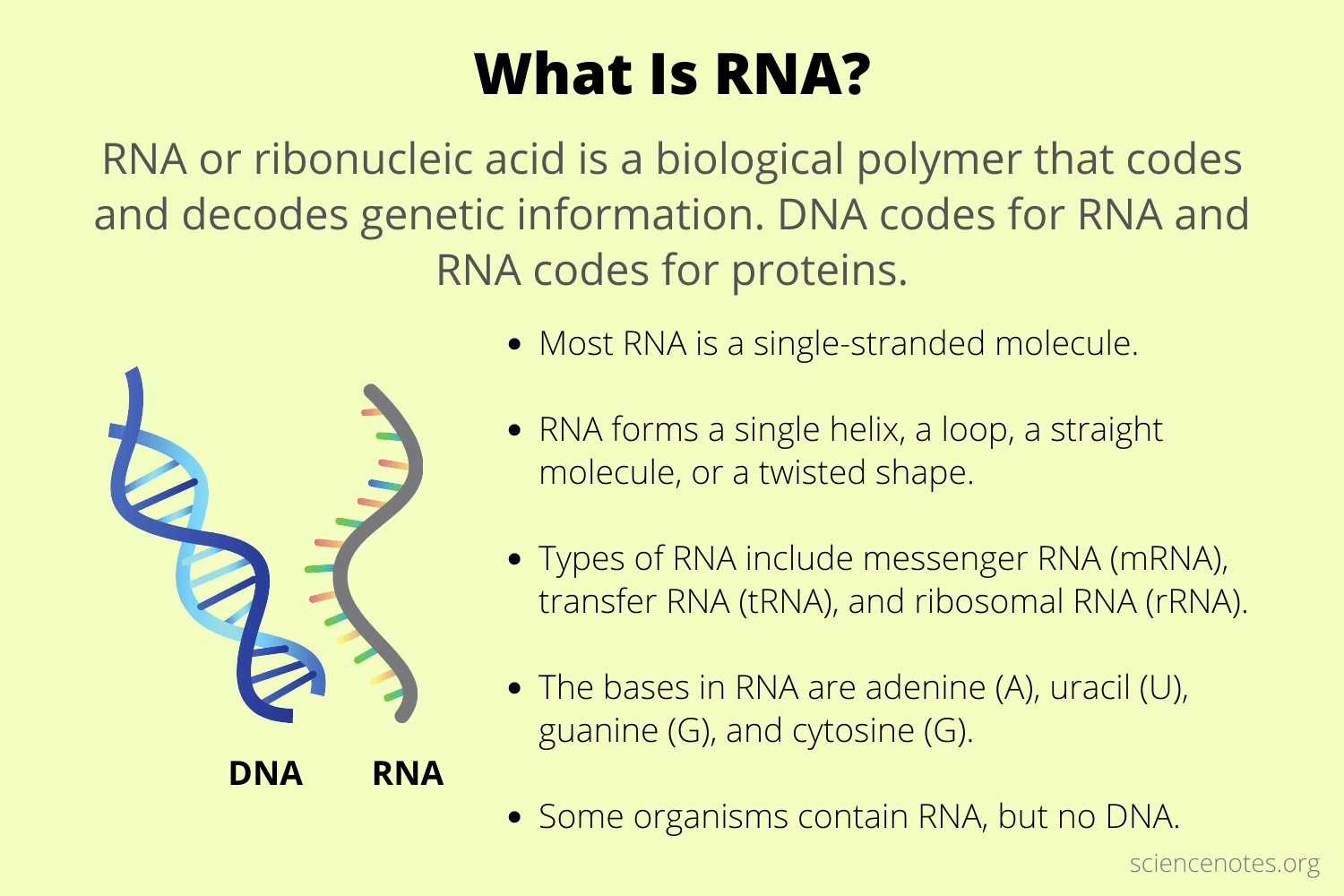 What is Extracellular RNA? - Anantam IAS