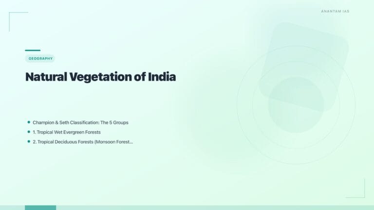 Natural Vegetation of India: Forest Types & Distribution featured image