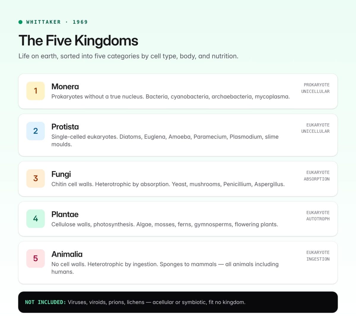 5 Kingdom Classification — Whittaker, Criteria, and UPSC Notes ...