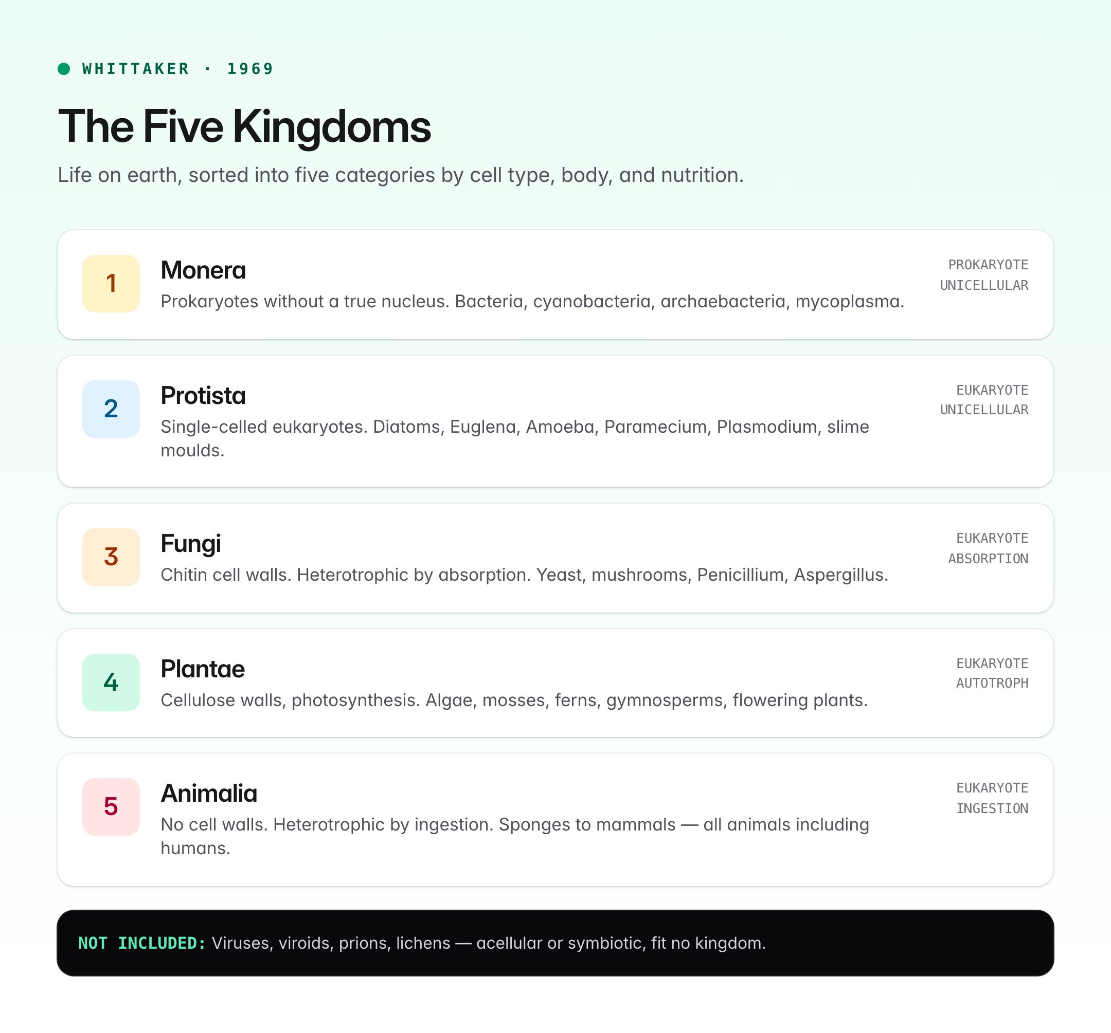5 Kingdom Classification — Whittaker, Criteria, and UPSC Notes — visual guide 1