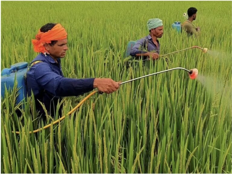 Reform Fertiliser Policy