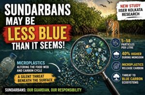 Sundarbans may be less blue than it seems