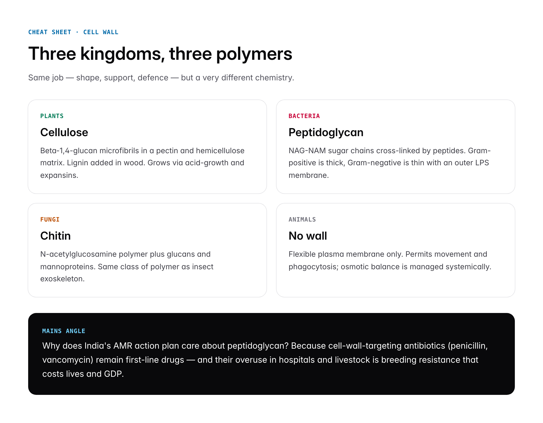 Cell Wall: Structure, Composition and Functions in Plants, Bacteria and Fungi