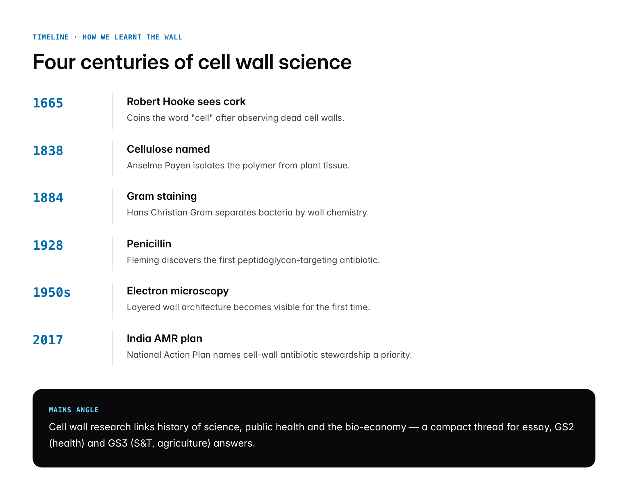 Cell Wall: Structure, Composition and Functions in Plants, Bacteria and Fungi