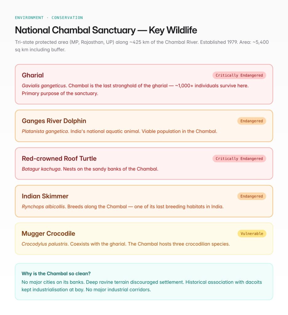 Chambal River — Course, Dams, Wildlife Sanctuary, and UPSC Notes ...