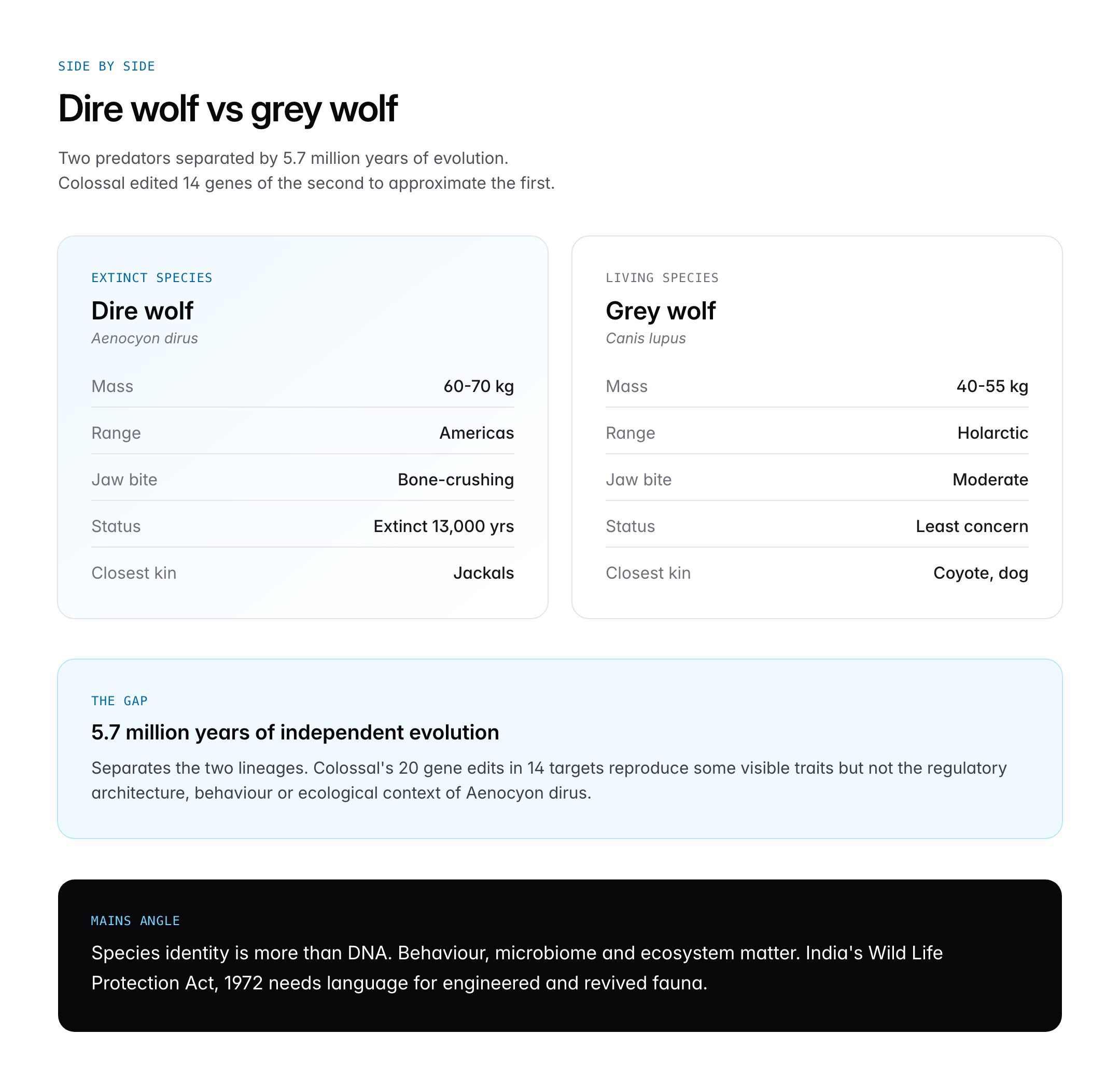 Dire Wolf De-Extinction: Colossal's Announcement, Science and Ethical Debate