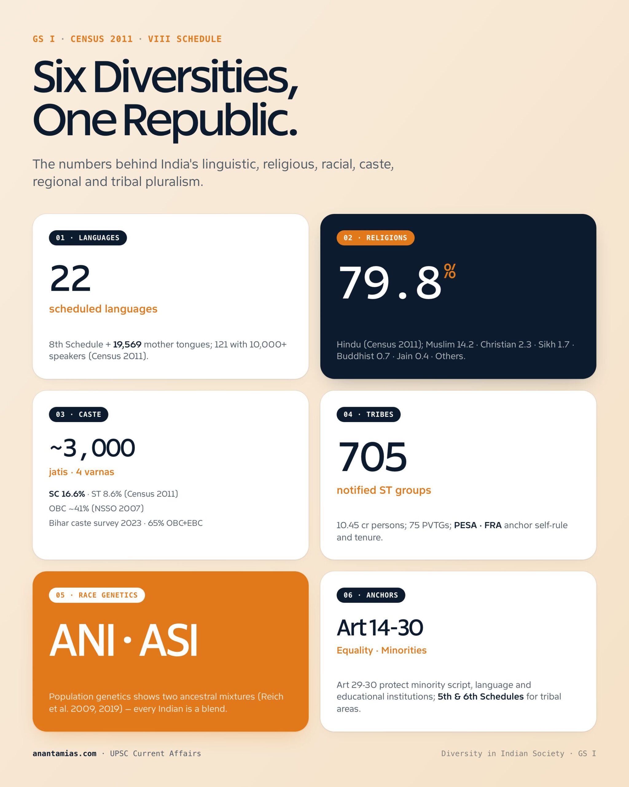 DIVERSITY IN INDIAN SOCIETY concept overview