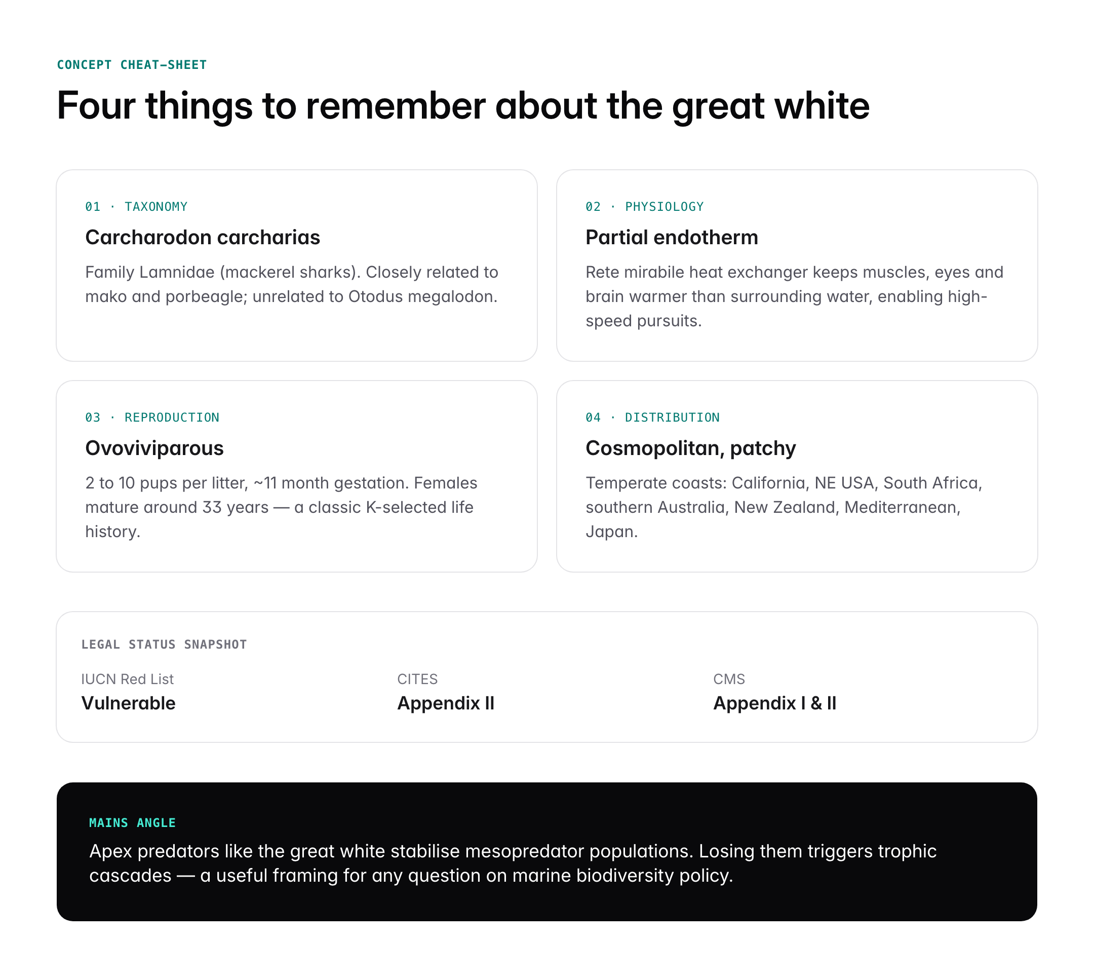 Great White Shark: Habitat, Behaviour, Conservation Status and IUCN Listing