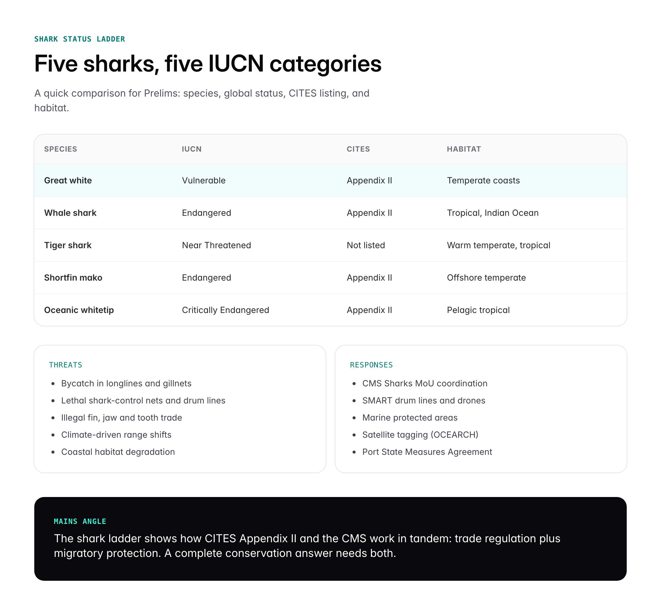 Great White Shark: Habitat, Behaviour, Conservation Status and IUCN Listing