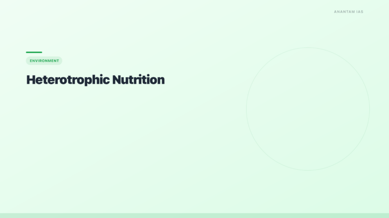 Heterotrophic Nutrition: Types, Examples & Saprophytes — UPSC - featured image for UPSC preparation