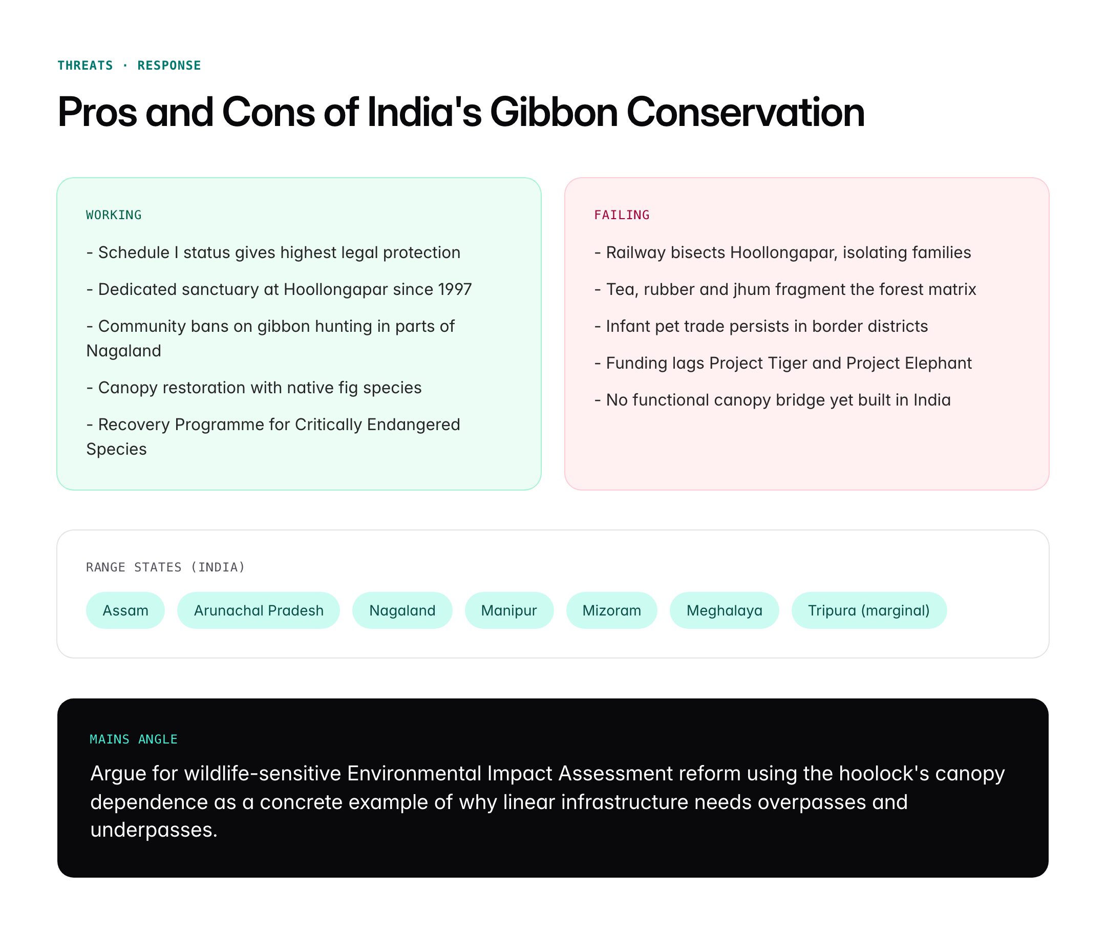 Hoolock Gibbon: India's Only Ape, Habitat and Conservation Status