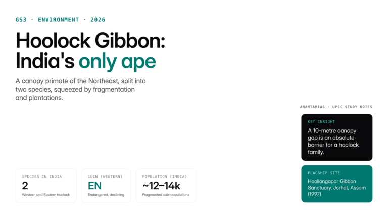 Hoolock gibbon is India's only ape, endemic to the Northeast. Explore habitat, behaviour, IUCN status, threats and conse