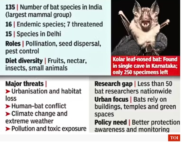 State of India Bats Report
