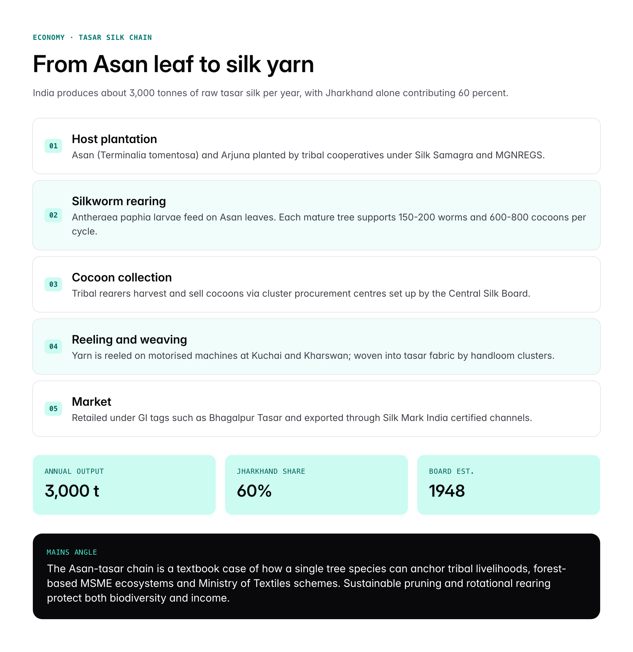 Indian Laurel Tree (Terminalia tomentosa): Features, Uses and Distribution