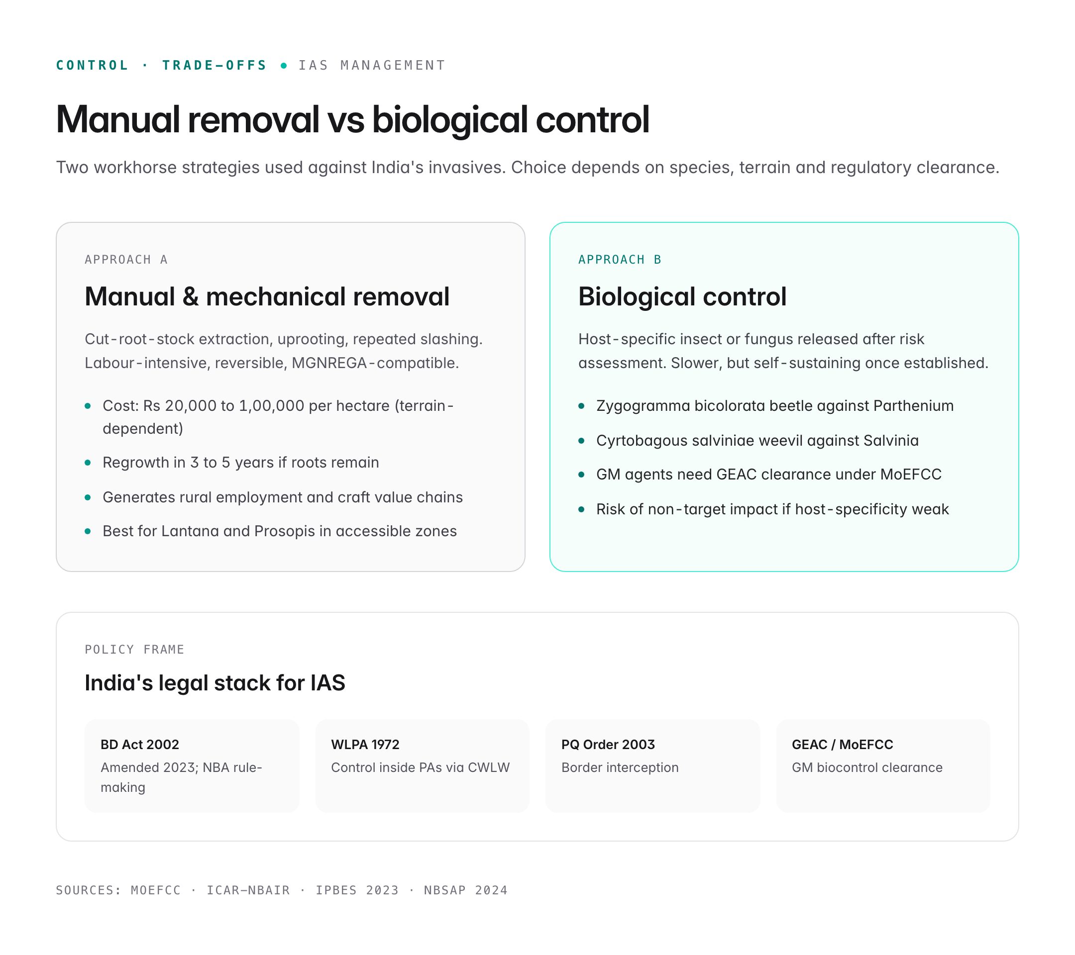 Invasive Species in India: AAD 2026 Flags Lantana, Prosopis as Biggest Threats