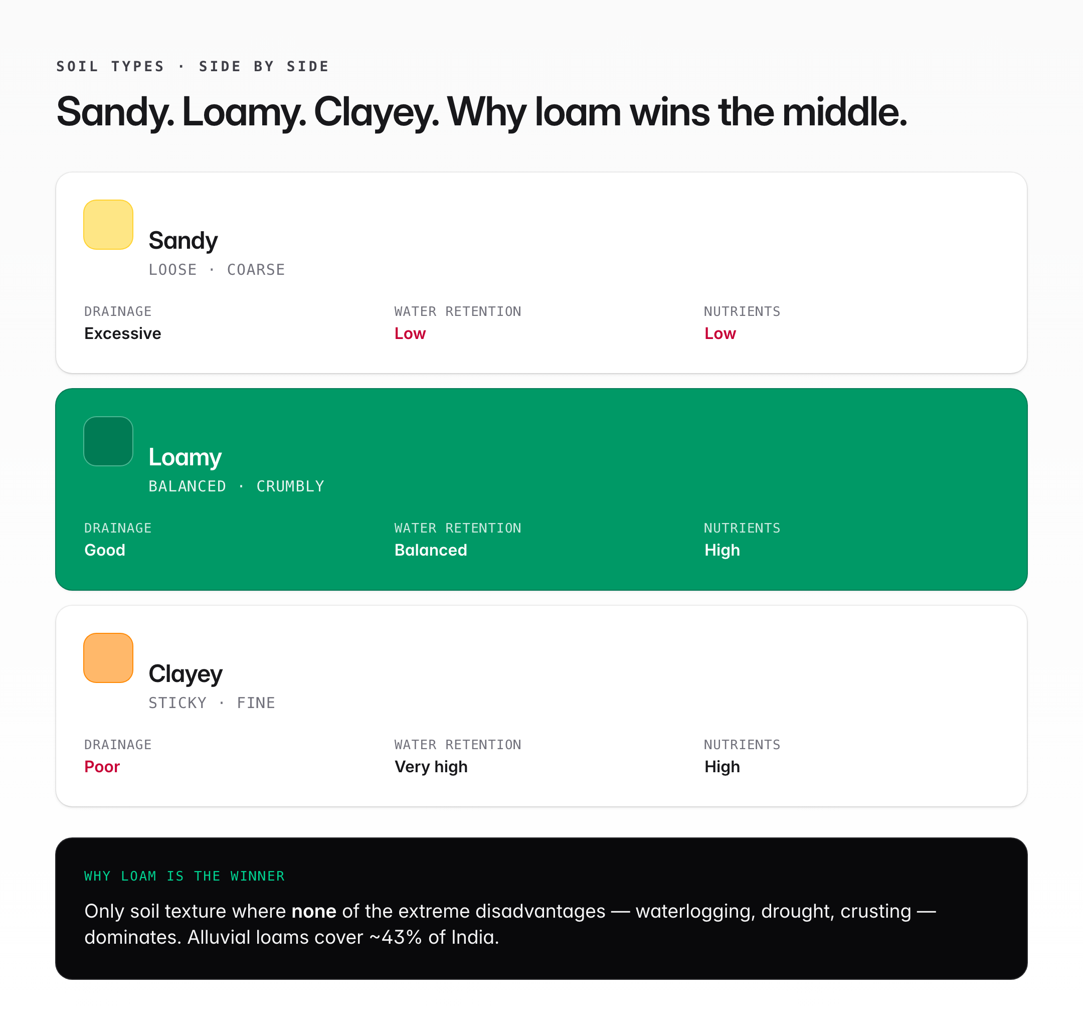 Loamy Soil: Composition, Characteristics, Crops, and Indian Distribution — visual guide 2