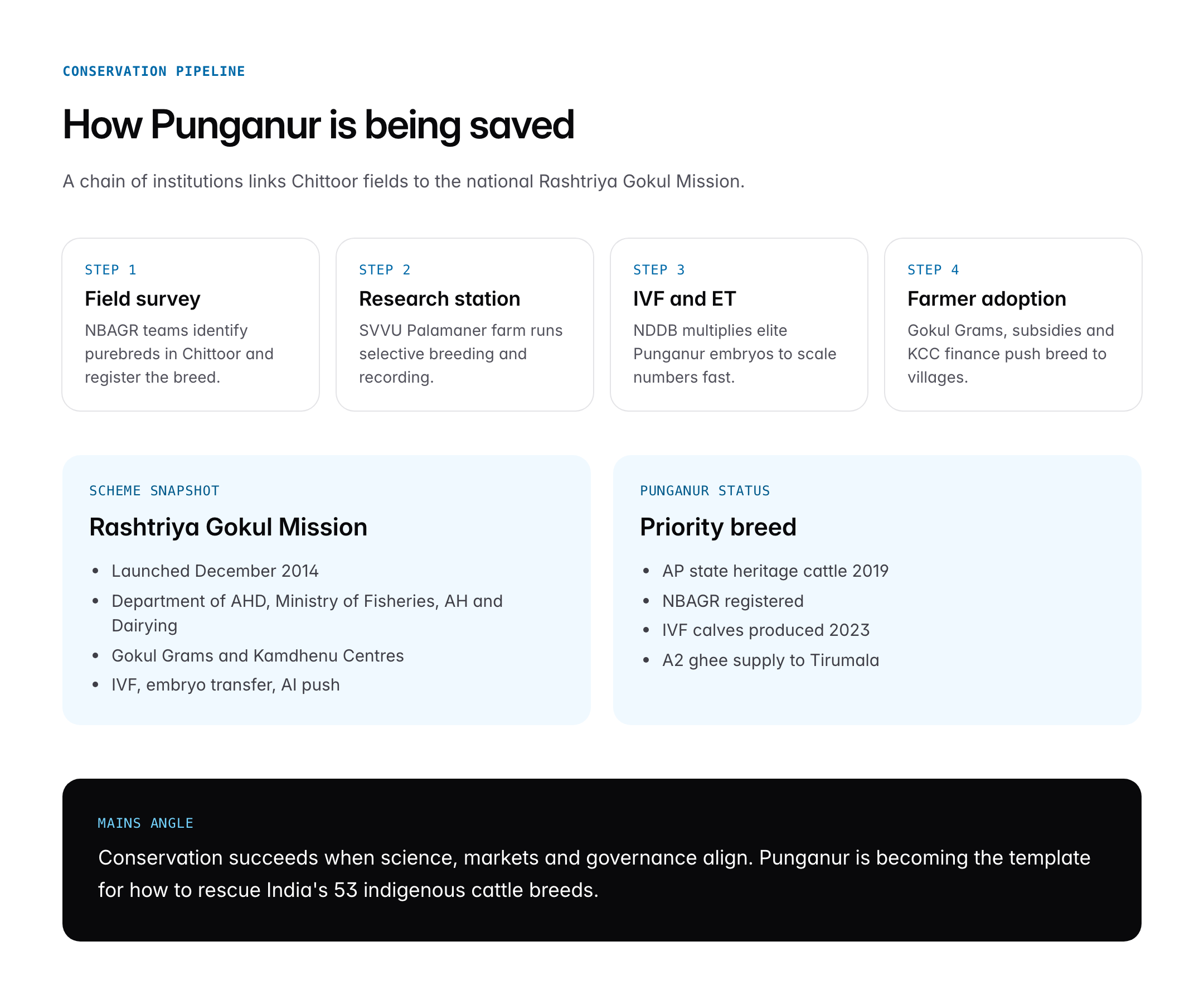Punganur Cow: Characteristics, Conservation and Indigenous Cattle Breeds