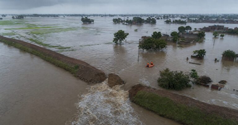 punjab floods 2025 relief status