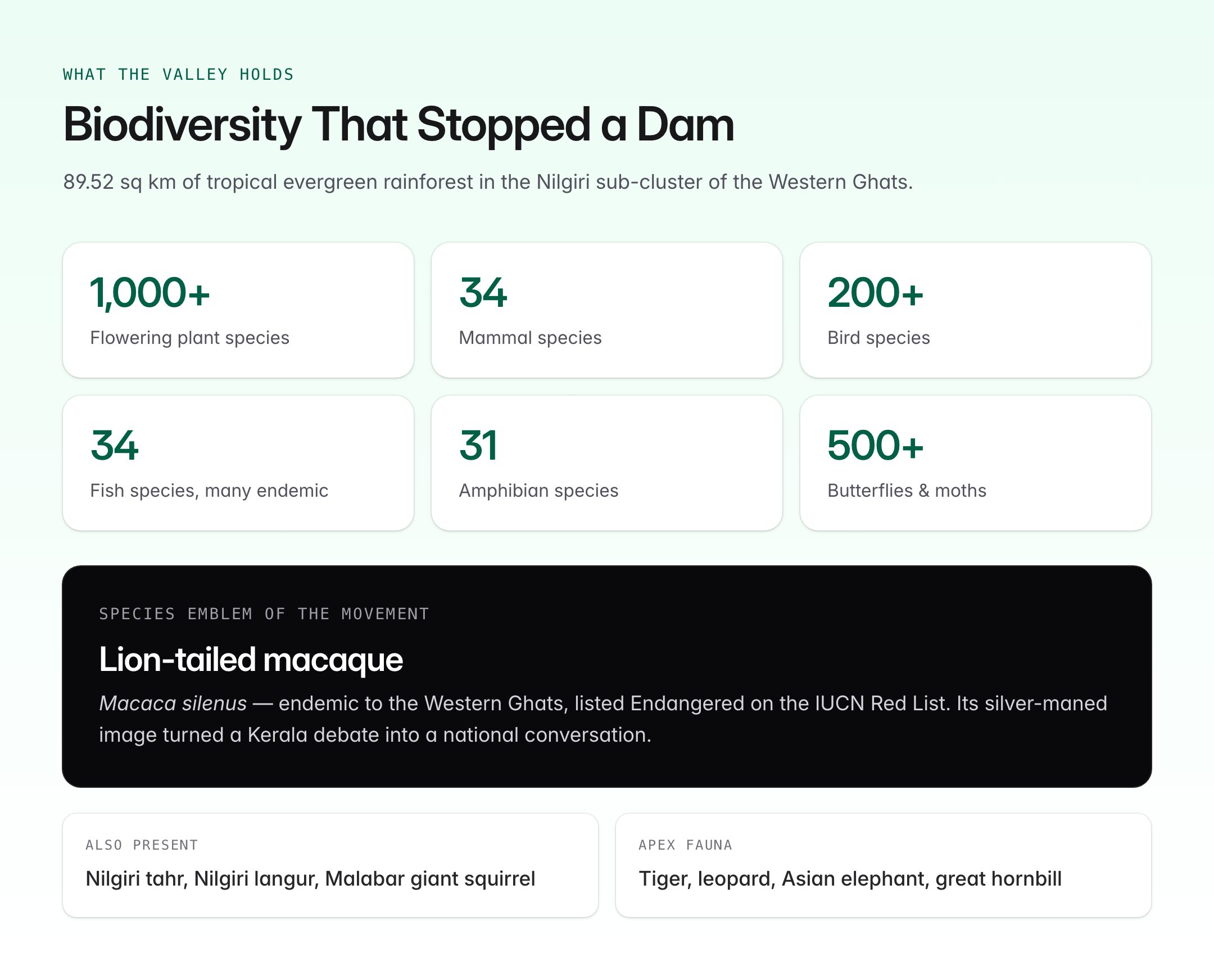 Silent Valley Movement: How Kerala Saved a Rainforest — visual guide 2