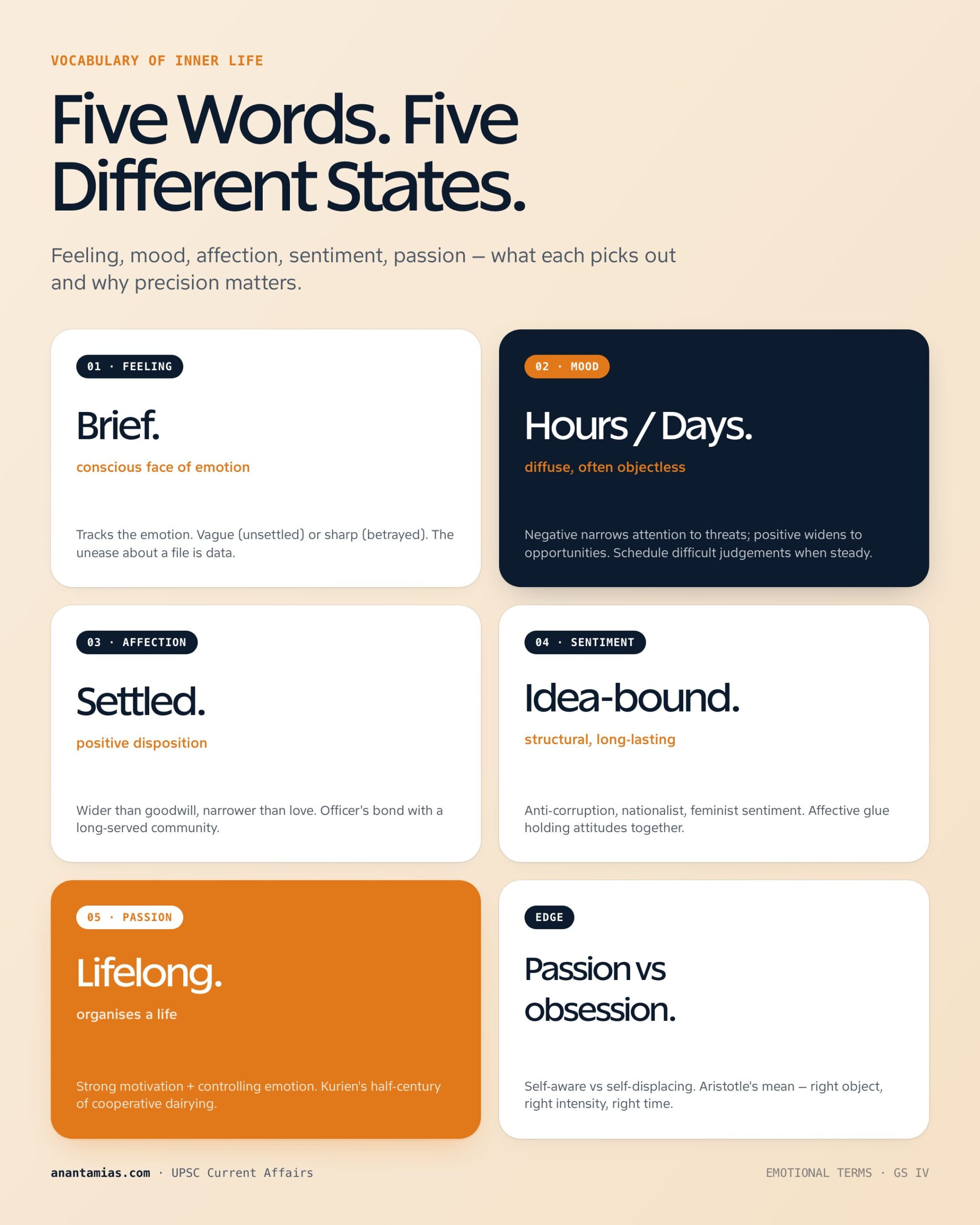 SIMILAR TERMS concept overview