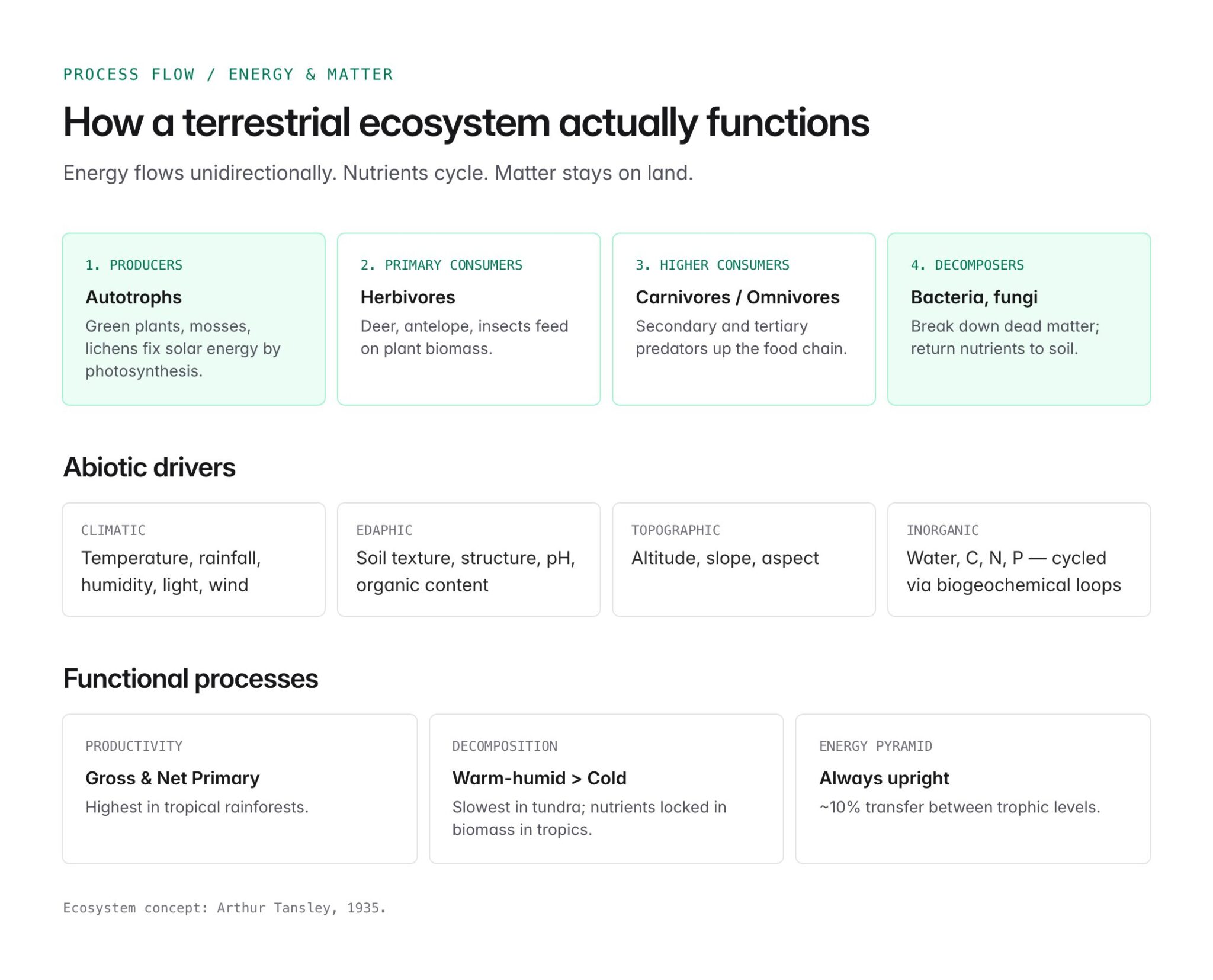 terrestrial ecosystem - definition, types, examples -... Terrestrial Ecosystem: Types, Components, and Ecological Significance ...