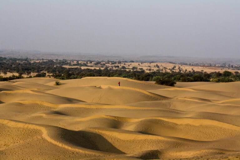 Thar Desert: Location, Climate, Flora & UPSC Geography Guide - featured image for UPSC preparation