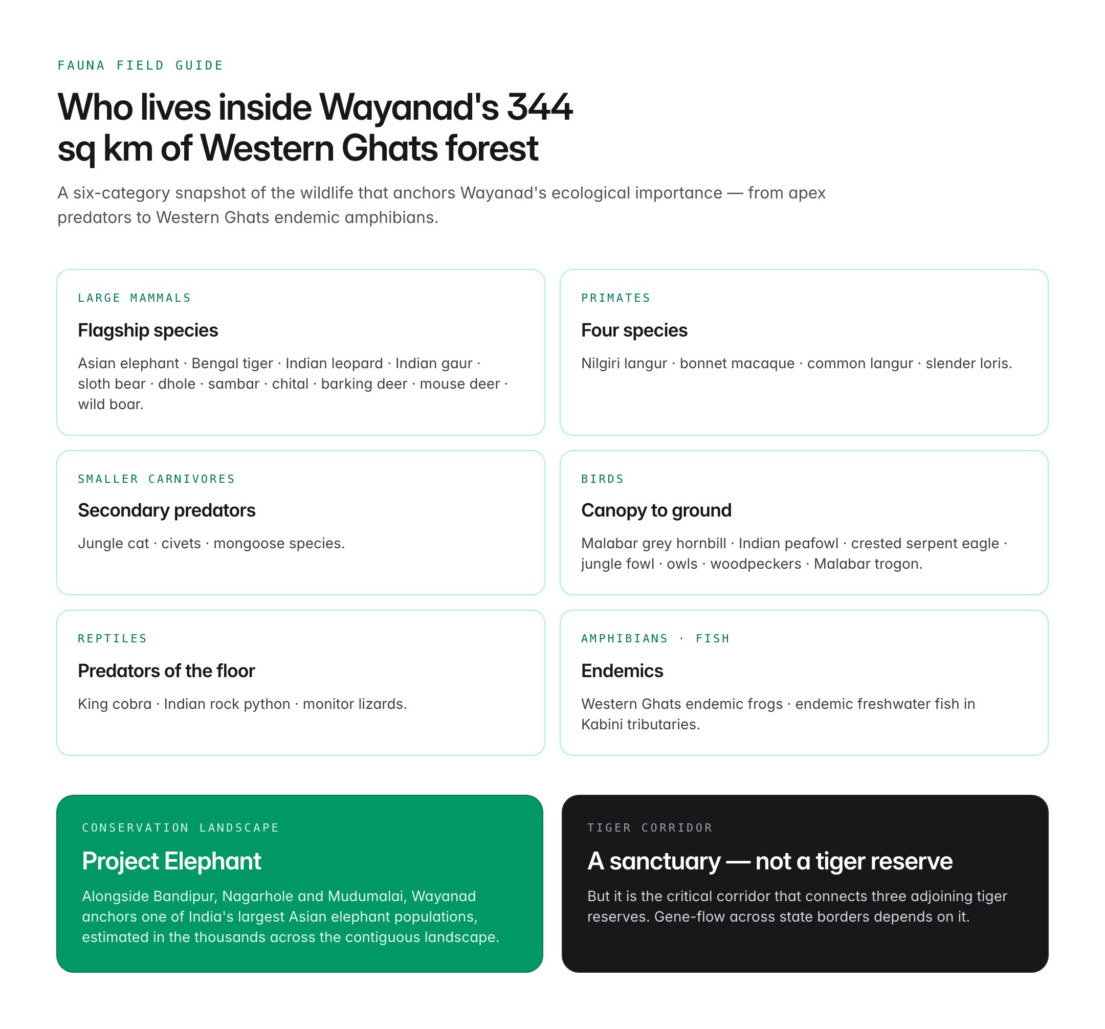 wayanad wildlife sanctuary — figure 2