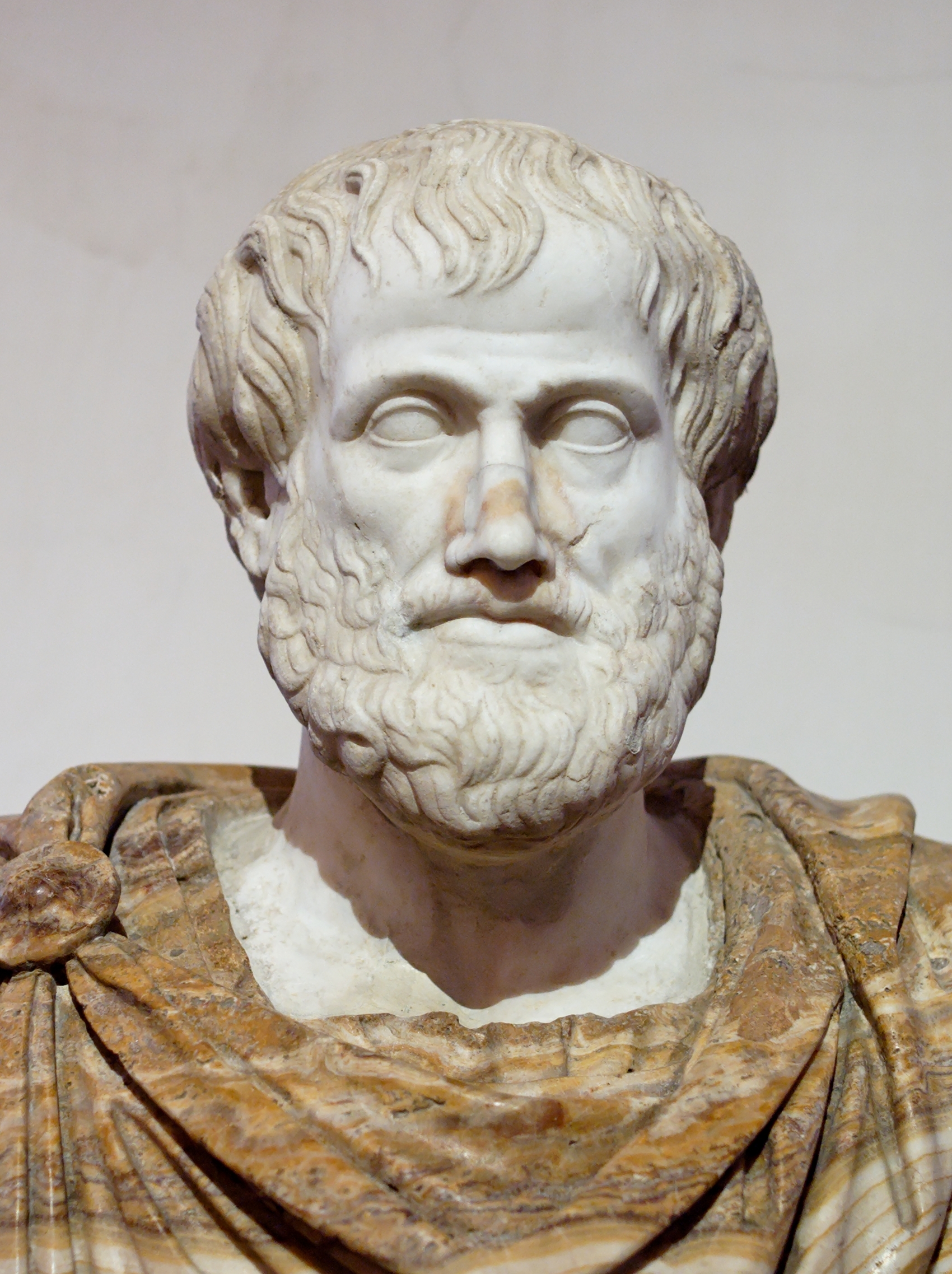 Father of Biology: Aristotle, Branches of Biology and Key Contributions