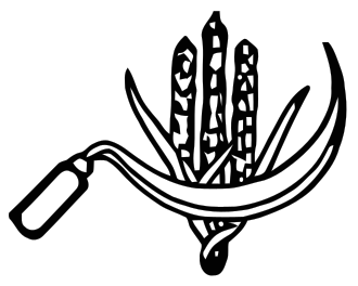 Communist Party of India (CPI): History, Ideology, Splits and Present Status