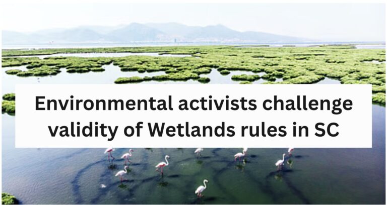 Environmental activists challenge validity of Wetlands rules in SC