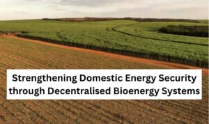 Strengthening Domestic Energy Security through Decentralised Bioenergy Systems 