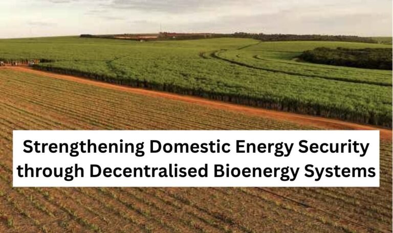 Strengthening Domestic Energy Security through Decentralised Bioenergy Systems 