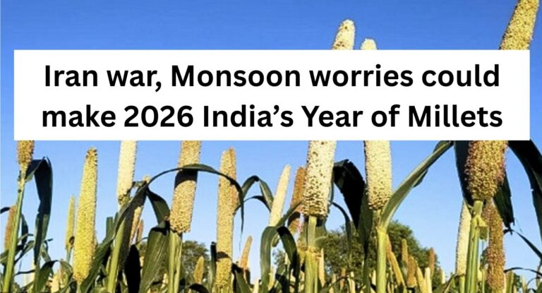 Why Iran War, Monsoon worries could make 2026 India’s Year of Millets