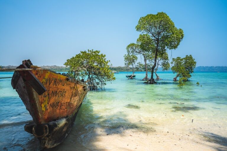 Andaman Nicobar islands