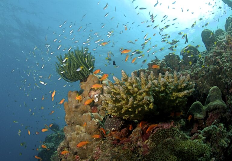 Andaman and Nicobar Islands
