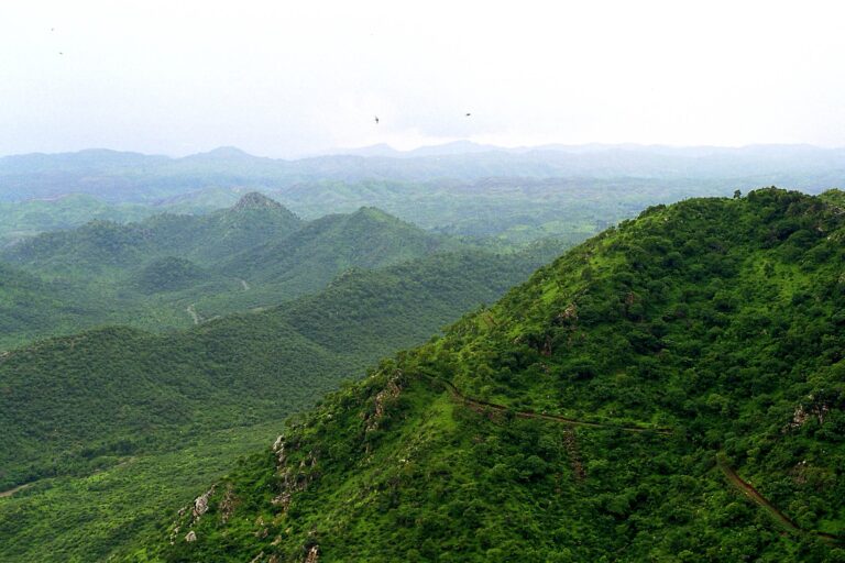 Aravalli Range: Oldest Fold Mountains of India, Geology, Geography, and Ecological Significance