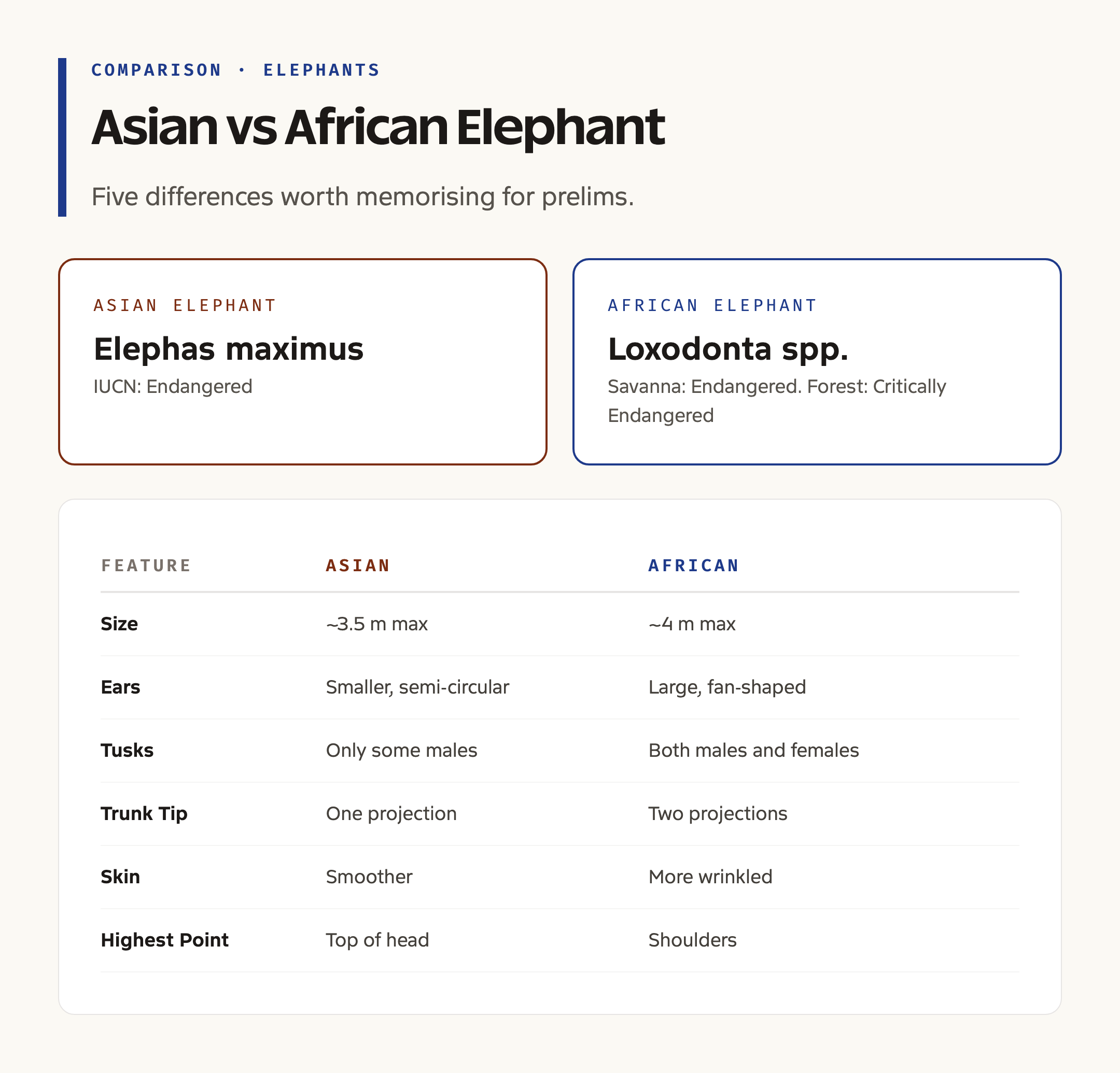 Asian vs African Elephant Comparison