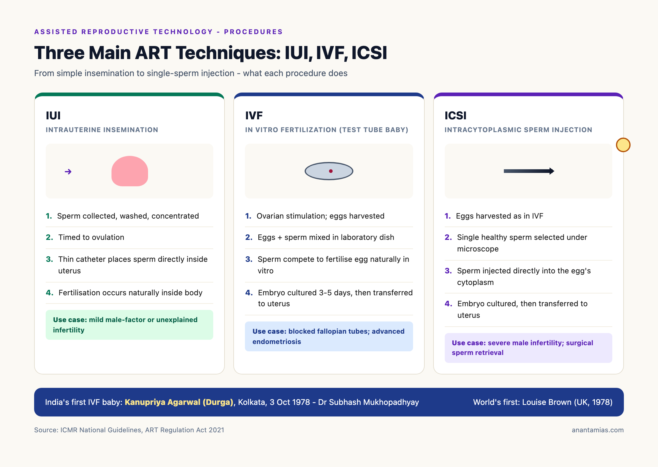 Three Main ART Techniques: IUI, IVF, ICSI