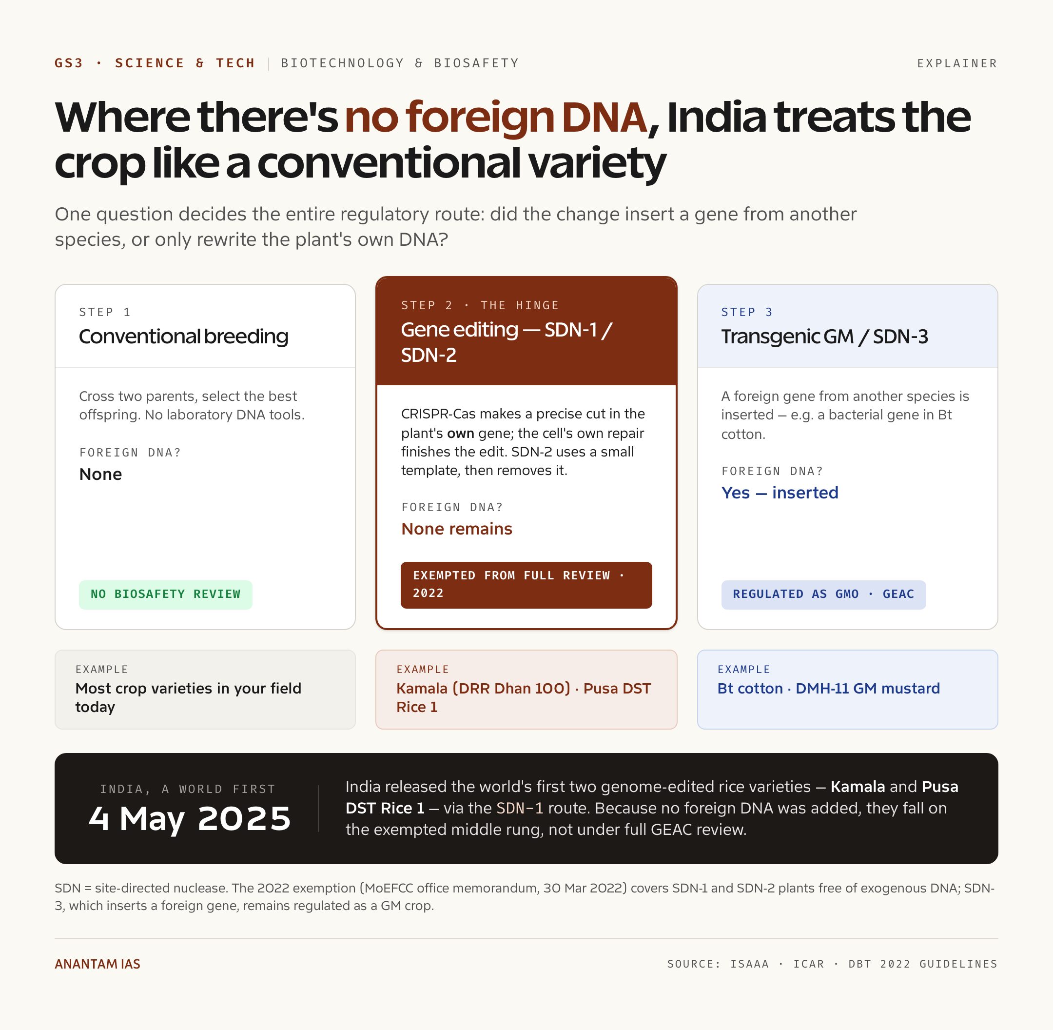 Where there's no foreign DNA, India treats the crop like a conventional variety