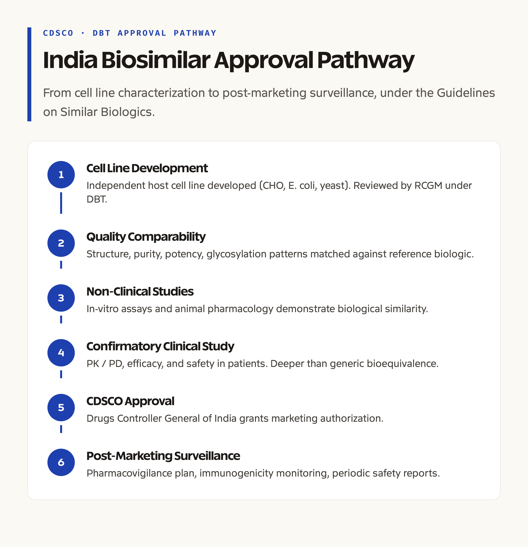 India Biosimilar Approval Pathway: From Cell Line to Market