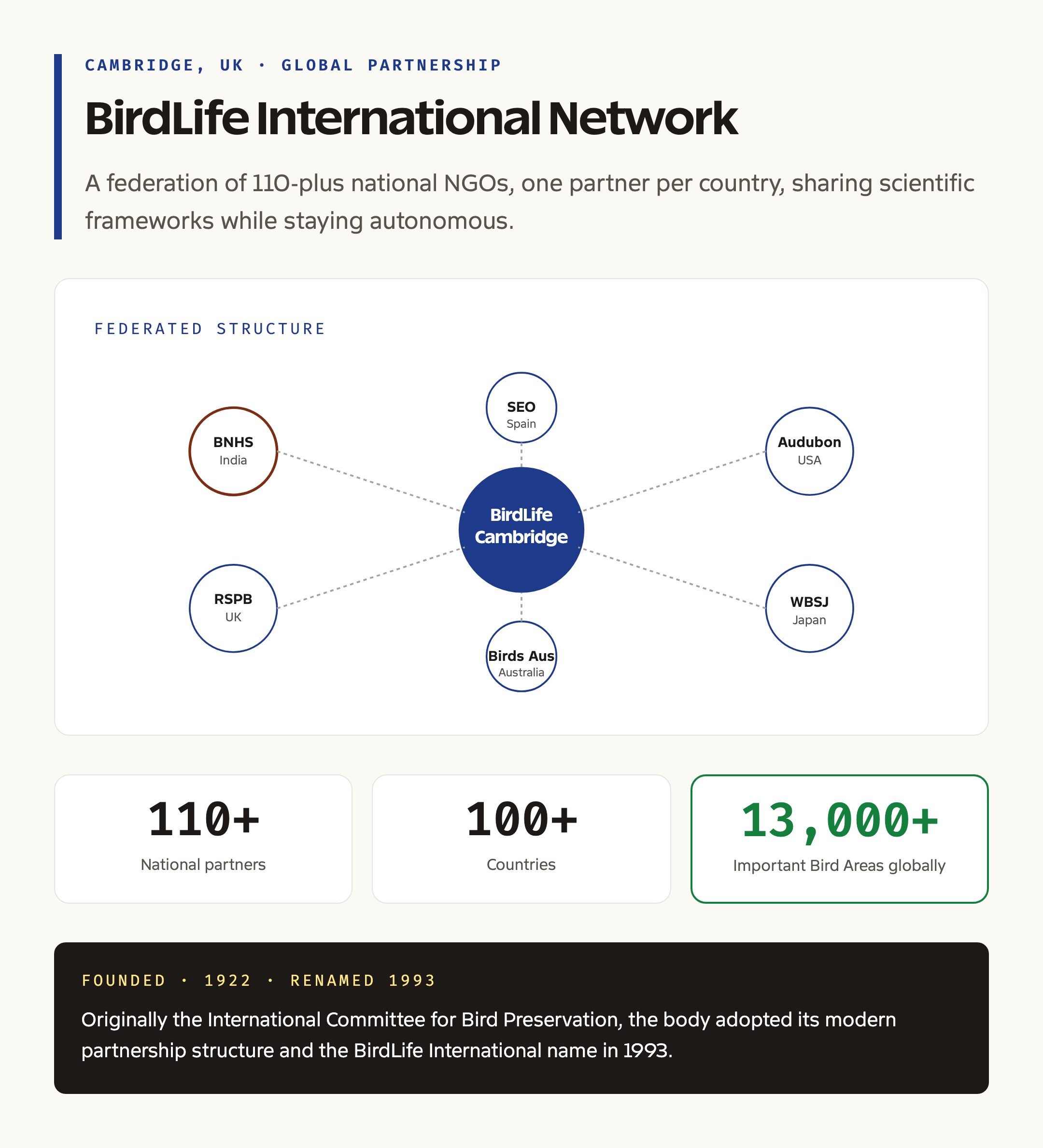 BirdLife International global partnership network sketch