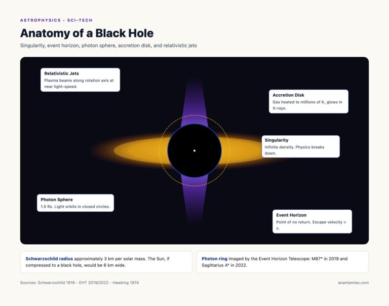 Anatomy of a Black Hole: Singularity, Event Horizon, Accretion Disk and Jets