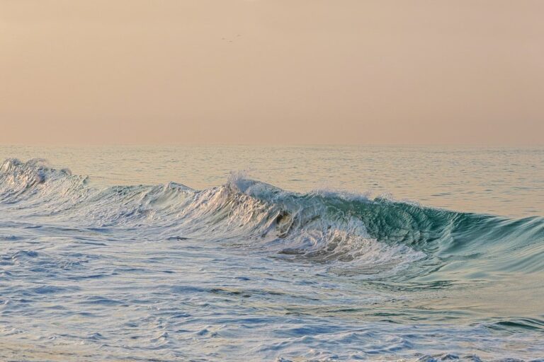 Blue Flag Beaches in India 2026