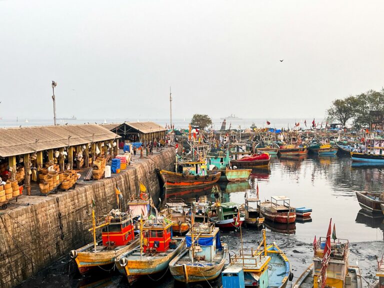 Blue Revolution in India: Inland Fisheries, FFDA, and the PMMSY Push